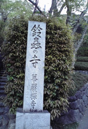 226.jpg